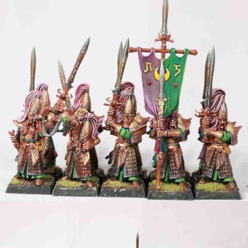 Hight Elves Swordmasters of Hoeth by Nedar