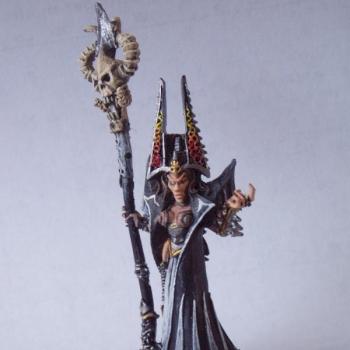 Dark elf Sorceress by Porkchop76