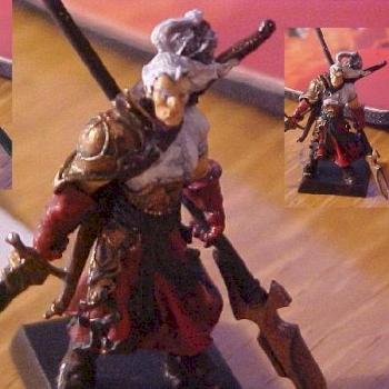 Paladin Guardia del Mar by Gaijin