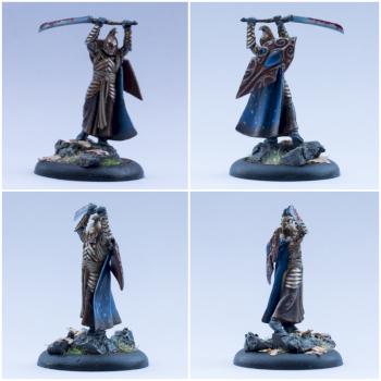 High Elf Captain, lord of the rings by Resurrection