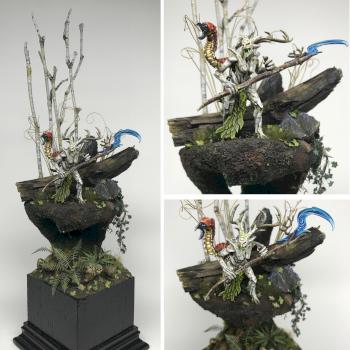 BirchWych by Hairster