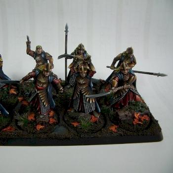 Galadhrims warriors by -hwk-