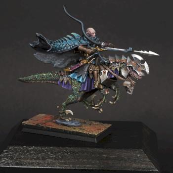 Warhammer Dark Elves Dark Elf Beastmaster on Cold One by Maranith