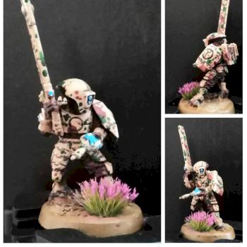 Steppentarn T'au Fire Warrior by El Mutanto