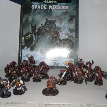 Spacewolves Starter/Booster Army by TyranidPainter