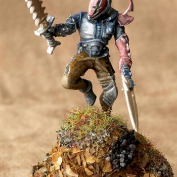 Dark Eldar Hagashin by Rounder