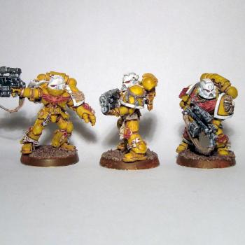 Imperial Fists Sternguard by Nidhogg
