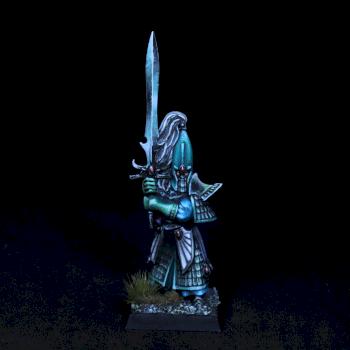 Elf Warrior Warhammer Fantasy by FrozenFireArts