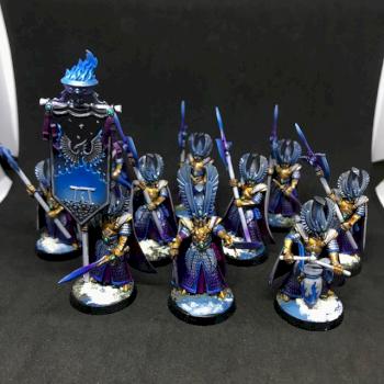 10X ICE PHOENIX GUARD HIGH ELVES WARHAMMER by juanlurockerman