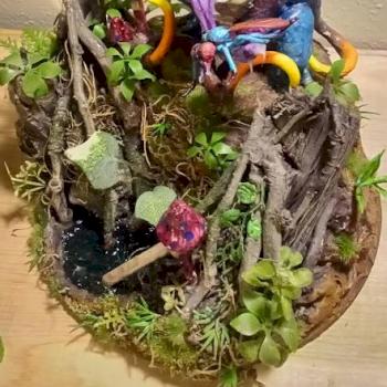 Froghemouth by craig cary