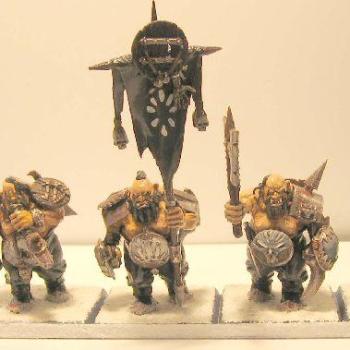 Converted Chaos Ogres by dse81