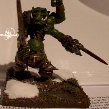 Chaos troll converted by Woundead