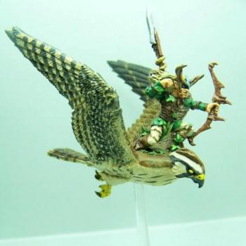 Guerrier Faucon Elfe Sylvain 1 by sceolan