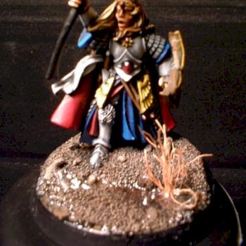 elven hero by lord donkey
