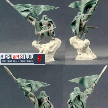 Wood Elf Standard Bearer by vandoc