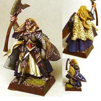 Elf Lion commander repost by Vaeron