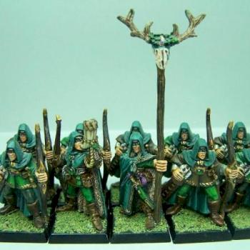 Archers Elfes Sylvains by sceolan