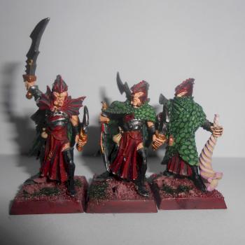 Dark Elf Corsairs by Shana12