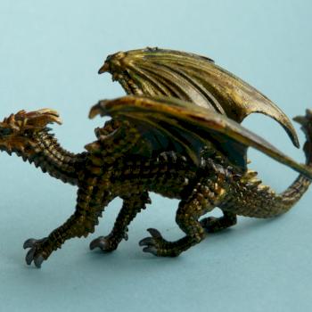 Young Dragon by Eilean