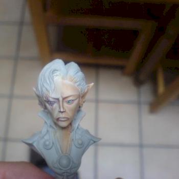 wip buste elfe by marc. c