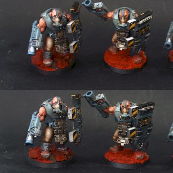imperial guard bullgryns by tattooman