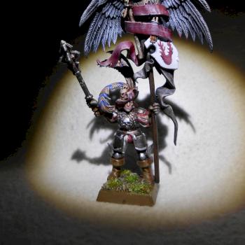 Empire battle standard bearer by funsk