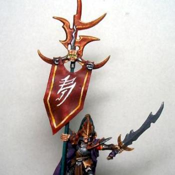 Dark Elf Standard Bearer by tabithatan