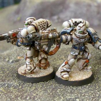 Desert Pattern Sternguard Veterans - Combi-Melta by silluen