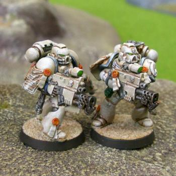 Desert Pattern Sternguard Veterans - Combi-Flamer by silluen