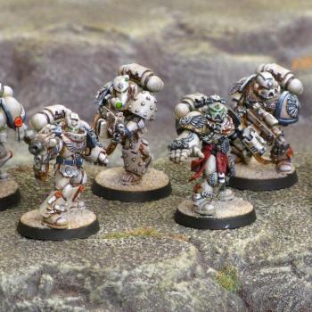 Desert Pattern Sternguard Veterans w/ Kantor by silluen