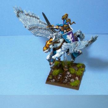 Bretonnian pegasus knight champion 1 by peloso