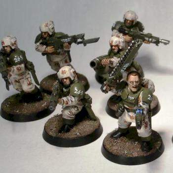 Squad 265, Imperial Guard by Elmo9141