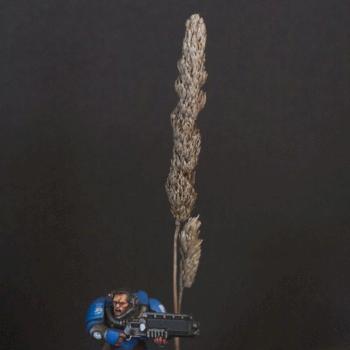 Space Marine Scout by ceeprime