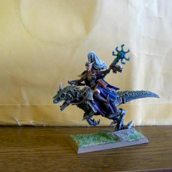 Dark Elf Supreme Sorceress On Cold One by harvester555