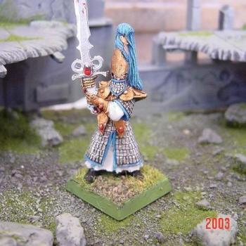 High Elf - Swordmaster Of Hoeth by fairwater