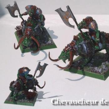 Chevaucheur de Brontops by Didoo 13