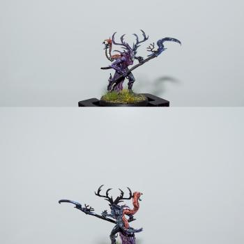 Branchwitc by Aneres
