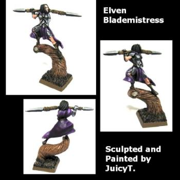 Elven Blademistress by juicytomatoes