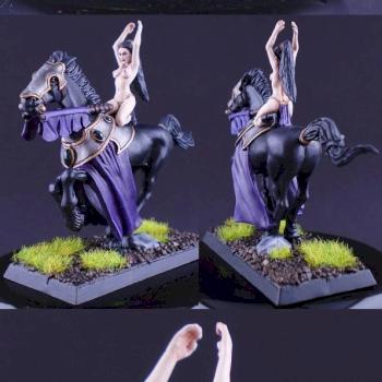 Druchii Sorceress on Dark Steed by jarvax
