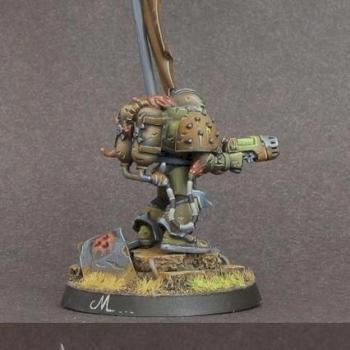 Chaos marines nurgle standard bearer by camelson