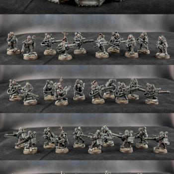 Solar Auxilia - Veletaris w/ Rotor Cannons by Audemus
