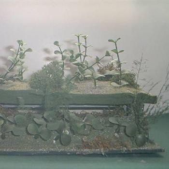 Disguised Bunker by ASYFAMA