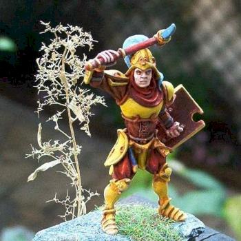 Garde d'Alahan 2/Guard of Alahan 2 by Hieroslave