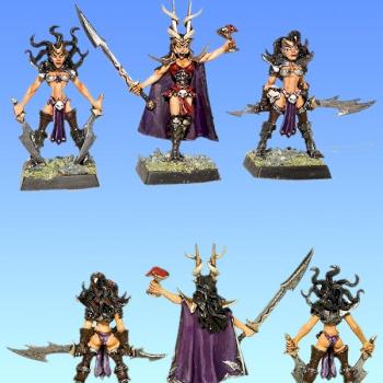 Dark Elves Witches and Hag, from cauldron of blood by Baboolam