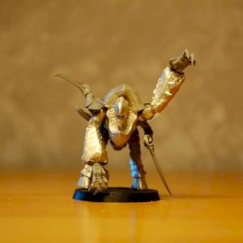 Tyrant Guard Conversion by miridigi
