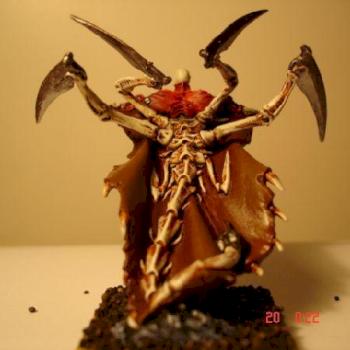 Sasia Samaris by bert