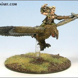Wood Elf Mage on warhawk by funkyyuzzam