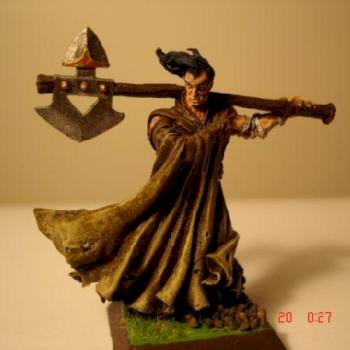 guerrier de danu by bert