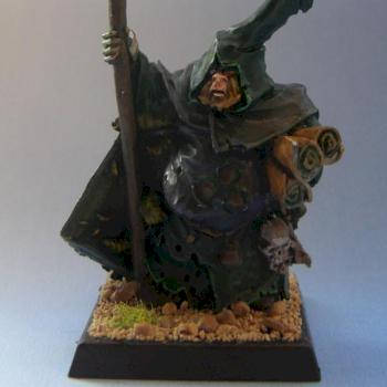 Chaos Nurgle Sorcerer by Chaol