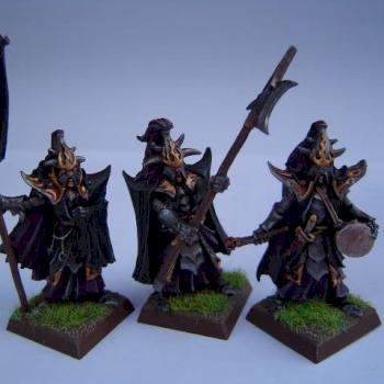 Black Guard command by Rolls Dice